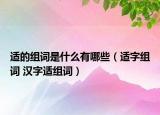 适的组词是什么有哪些（适字组词 汉字适组词）
