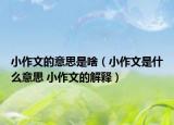 小作文的意思是啥（小作文是什么意思 小作文的解释）