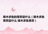 缘木求鱼的意思是什么（缘木求鱼意思是什么 缘木求鱼意思）