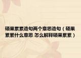 硕果累累造句两个意思造句（硕果累累什么意思 怎么解释硕果累累）