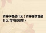 青荇拼音是什么（青荇的读音是什么 青荇的意思）