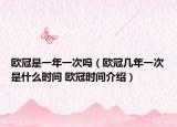欧冠是一年一次吗（欧冠几年一次是什么时间 欧冠时间介绍）