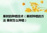 果树的种植技术（果树种植的方法 果树怎么种植）