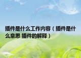 插件是什么工作内容（插件是什么意思 插件的解释）