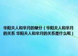 华阳夫人和芈月的辈分（华阳夫人和芈月的关系 华阳夫人和芈月的关系是什么呢）