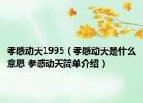 孝感动天1995（孝感动天是什么意思 孝感动天简单介绍）