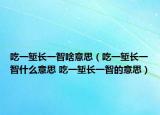 吃一堑长一智啥意思（吃一堑长一智什么意思 吃一堑长一智的意思）