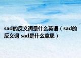 sad的反义词是什么英语（sad的反义词 sad是什么意思）