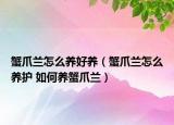 蟹爪兰怎么养好养（蟹爪兰怎么养护 如何养蟹爪兰）
