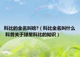 科比的全名叫啥?（科比全名叫什么 科普关于球星科比的知识）