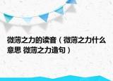 微薄之力的读音（微薄之力什么意思 微薄之力造句）
