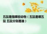 五鼠是指哪些动物（五鼠是哪五鼠 五鼠分别是谁）