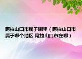 阿拉山口市属于哪里（阿拉山口市属于哪个地区 阿拉山口市在哪）
