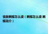 情敦鹣鲽怎么读（鹣鲽怎么读 鹣鲽简介）