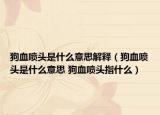 狗血喷头是什么意思解释（狗血喷头是什么意思 狗血喷头指什么）