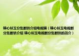 锦心似玉分集剧情介绍电视猫（锦心似玉电视剧分集剧情介绍 锦心似玉电视剧分集剧情的简介）