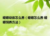 蝾螈幼体怎么养（蝾螈怎么养 蝾螈饲养方法）
