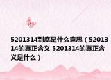 5201314到底是什么意思（5201314的真正含义 5201314的真正含义是什么）