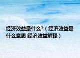 经济效益是什么?（经济效益是什么意思 经济效益解释）