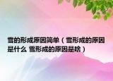 雪的形成原因简单（雪形成的原因是什么 雪形成的原因是啥）