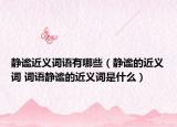 静谧近义词语有哪些（静谧的近义词 词语静谧的近义词是什么）