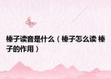 榛子读音是什么（榛子怎么读 榛子的作用）