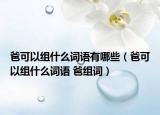 爸可以组什么词语有哪些（爸可以组什么词语 爸组词）