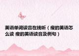 英语单词读音在线听（瘦的英语怎么读 瘦的英语读音及例句）