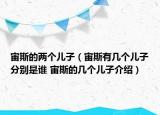 宙斯的两个儿子（宙斯有几个儿子分别是谁 宙斯的几个儿子介绍）
