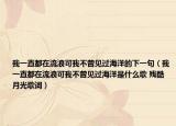 我一直都在流浪可我不曾见过海洋的下一句（我一直都在流浪可我不曾见过海洋是什么歌 残酷月光歌词）
