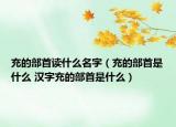 充的部首读什么名字（充的部首是什么 汉字充的部首是什么）
