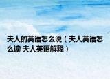 夫人的英语怎么说（夫人英语怎么读 夫人英语解释）