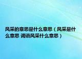 风采的意思是什么意思（风采是什么意思 词语风采什么意思）