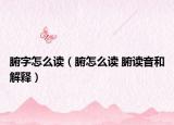 腑字怎么读（腑怎么读 腑读音和解释）
