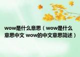 wow是什么意思（wow是什么意思中文 wow的中文意思简述）