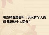 巩汉林百度百科（巩汉林个人资料 巩汉林个人简介）