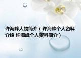 许海峰人物简介（许海峰个人资料介绍 许海峰个人资料简介）
