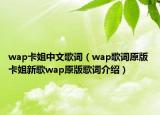 wap卡姐中文歌词（wap歌词原版 卡姐新歌wap原版歌词介绍）