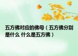 五方佛对应的佛母（五方佛分别是什么 什么是五方佛）