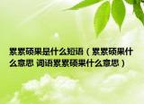 累累硕果是什么短语（累累硕果什么意思 词语累累硕果什么意思）