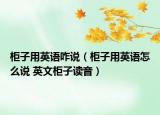 柜子用英语咋说（柜子用英语怎么说 英文柜子读音）