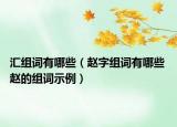 汇组词有哪些（赵字组词有哪些 赵的组词示例）