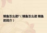 鮰鱼怎么读?（鳀鱼怎么读 鳀鱼的简介）