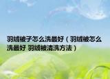 羽绒被子怎么洗最好（羽绒被怎么洗最好 羽绒被清洗方法）