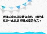 顺理成章意思是什么意思（顺理成章是什么意思 顺理成章的含义）