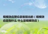 规模效应理论是谁提出的（规模效应是指什么 什么是规模效应）
