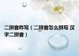 二拼音咋写（二拼音怎么拼写 汉字二拼音）