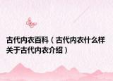 古代内衣百科（古代内衣什么样 关于古代内衣介绍）