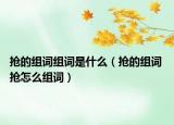 抢的组词组词是什么（抢的组词 抢怎么组词）