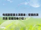 电视剧密查主演是谁（密查的演员表 密查简单介绍）